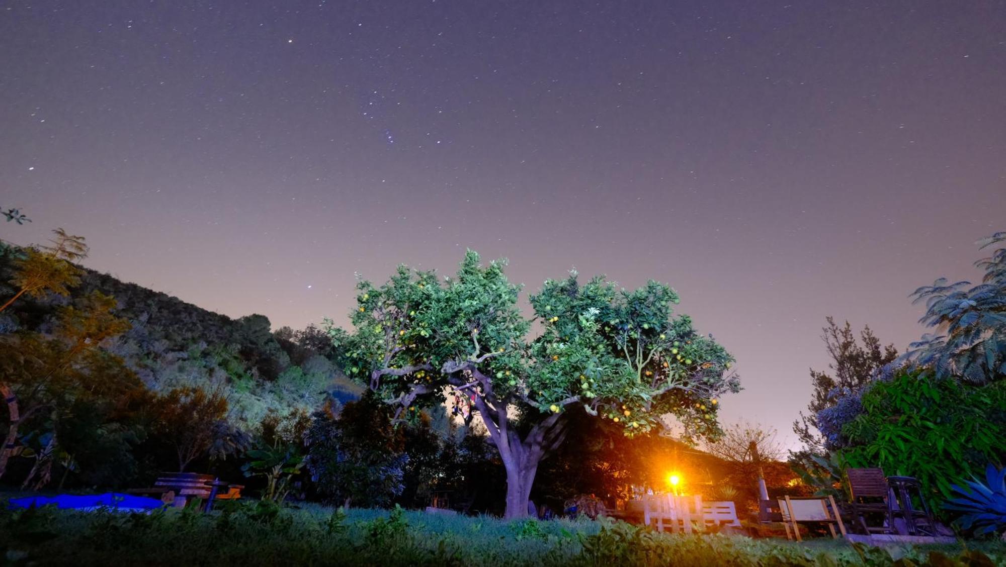 Vuelve Al Origen - Nomadas Digitales Tegueste Exterior foto