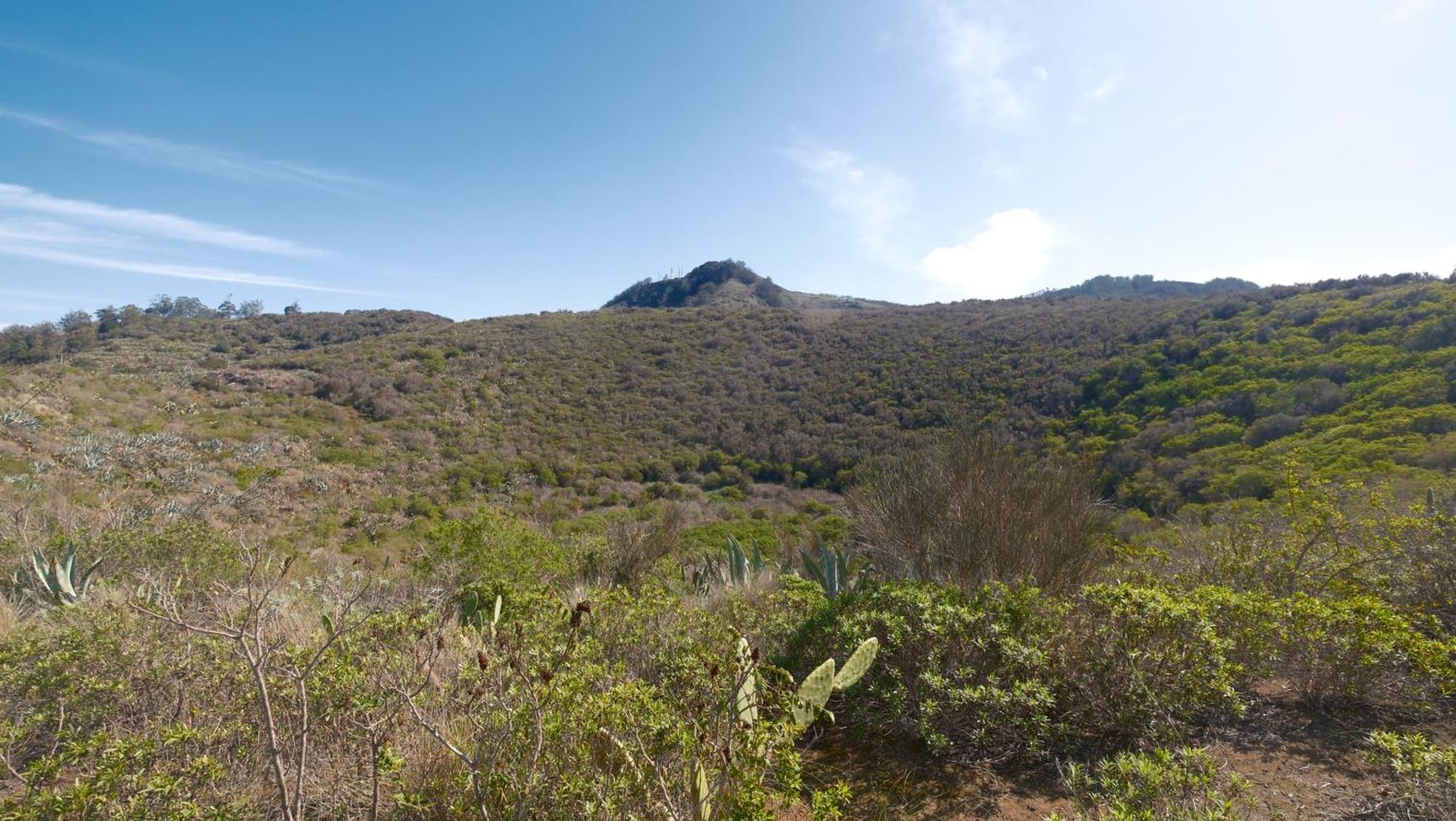 Vuelve Al Origen - Nomadas Digitales Tegueste Exterior foto